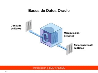 Bases de Datos Oracle

Consulta
de Datos
Manipulación
de Datos

Almacenamiento
de Datos

Introducción a SQL y PL/SQL
1-11

 