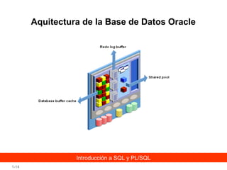 Aquitectura de la Base de Datos Oracle

Introducción a SQL y PL/SQL
1-14

 