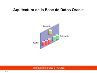 Aquitectura de la Base de Datos Oracle

Introducción a SQL y PL/SQL
1-16

 