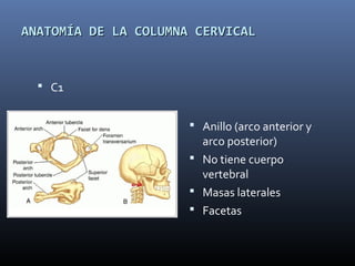 ANATOMÍA DE LA COLUMNA CERVICALANATOMÍA DE LA COLUMNA CERVICAL
 C1
 Anillo (arco anterior y
arco posterior)
 No tiene cuerpo
vertebral
 Masas laterales
 Facetas
 