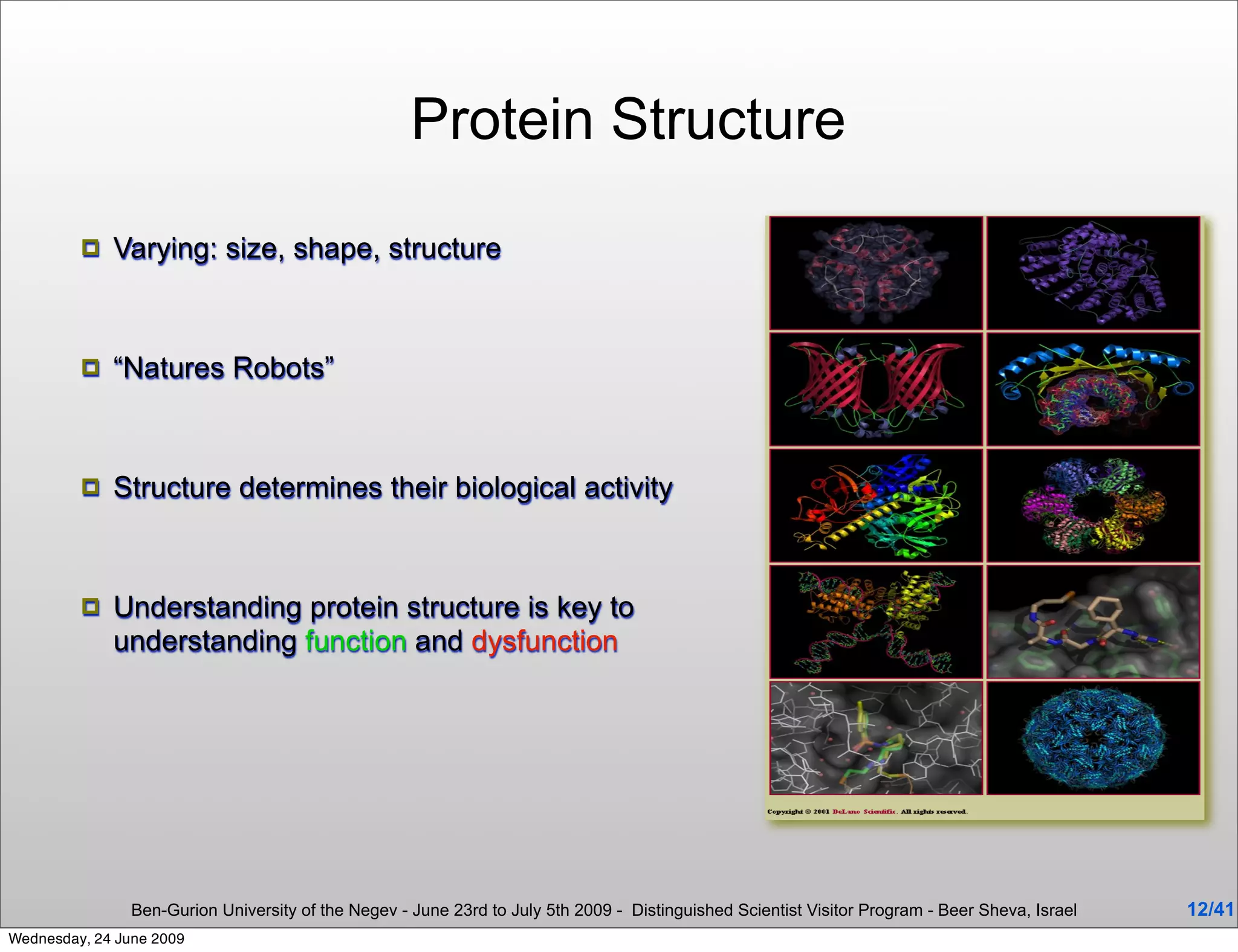Protein Structure

            Varying: size, shape, structure



            “Natures Robots”



            Structure determines their biological activity



            Understanding protein structure is key to
             understanding function and dysfunction




                Ben-Gurion University of the Negev - June 23rd to July 5th 2009 - Distinguished Scientist Visitor Program - Beer Sheva, Israel   12/41
Wednesday, 24 June 2009
 