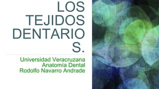 LOS
TEJIDOS
DENTARIO
S.
Universidad Veracruzana
Anatomía Dental
Rodolfo Navarro Andrade
 