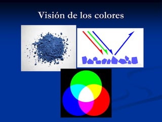 Visión de los colores
 