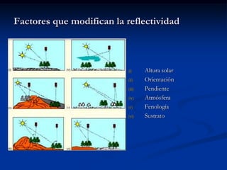 Factores que modifican la reflectividad



                          (i)     Altura solar
                          (ii)    Orientación
                          (iii)   Pendiente
                          (iv)    Atmósfera
                          (v)     Fenología
                          (vi)    Sustrato
 