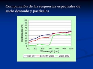 Comparación de las respuestas espectrales de
suelo desnudo y pastizales
 
