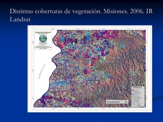 Distintas coberturas de vegetación. Misiones. 2006. IR
Landsat
 