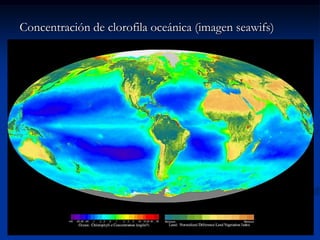 Concentración de clorofila oceánica (imagen seawifs)
 