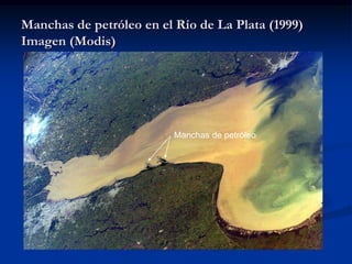 Manchas de petróleo en el Río de La Plata (1999)
Imagen (Modis)




                          Manchas de petróleo
 