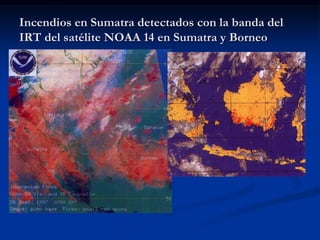 Incendios en Sumatra detectados con la banda del
IRT del satélite NOAA 14 en Sumatra y Borneo
 