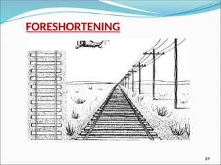 FORESHORTENING
27
 