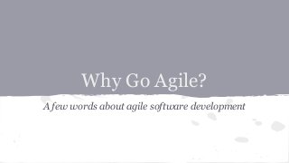 Why Go Agile?
A few words about agile software development
 