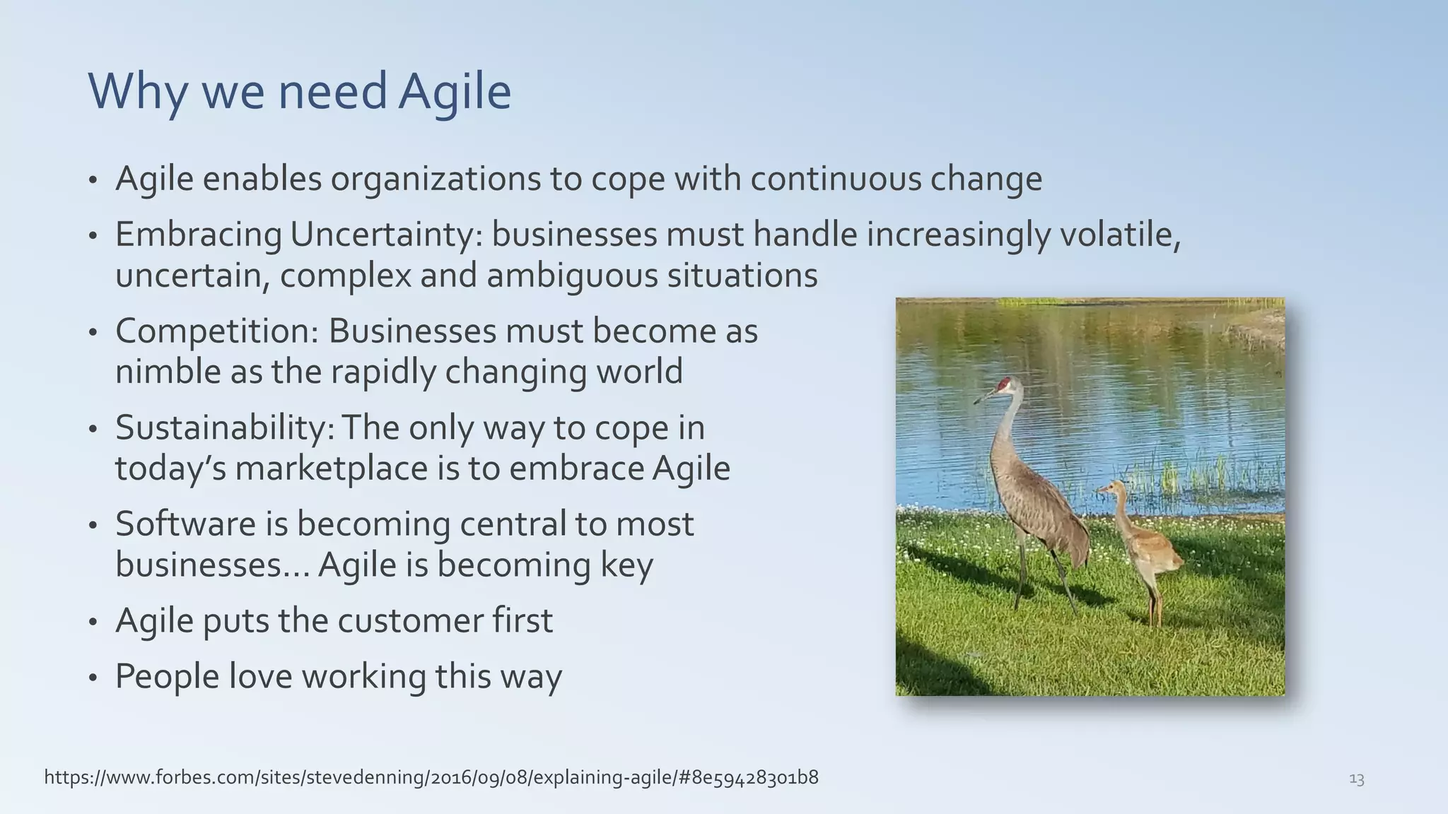 Why we needAgile
• Agile enables organizations to cope with continuous change
• Embracing Uncertainty: businesses must handle increasingly volatile,
uncertain, complex and ambiguous situations
• Competition: Businesses must become as
nimble as the rapidly changing world
• Sustainability:The only way to cope in
today’s marketplace is to embrace Agile
• Software is becoming central to most
businesses… Agile is becoming key
• Agile puts the customer first
• People love working this way
13https://www.forbes.com/sites/stevedenning/2016/09/08/explaining-agile/#8e59428301b8
 