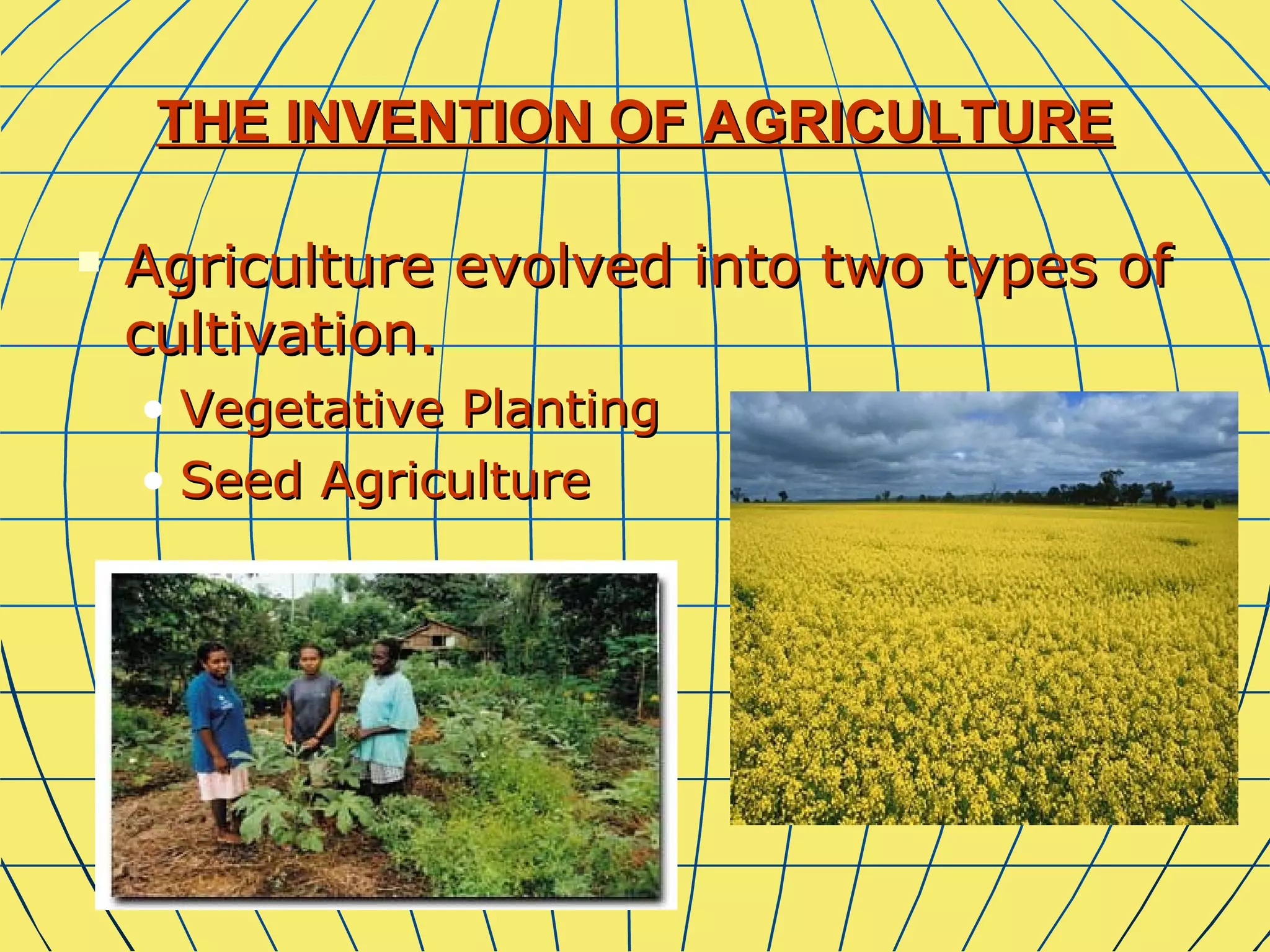 Agriculture Ap Human Geography Definition - sjb8wxt
