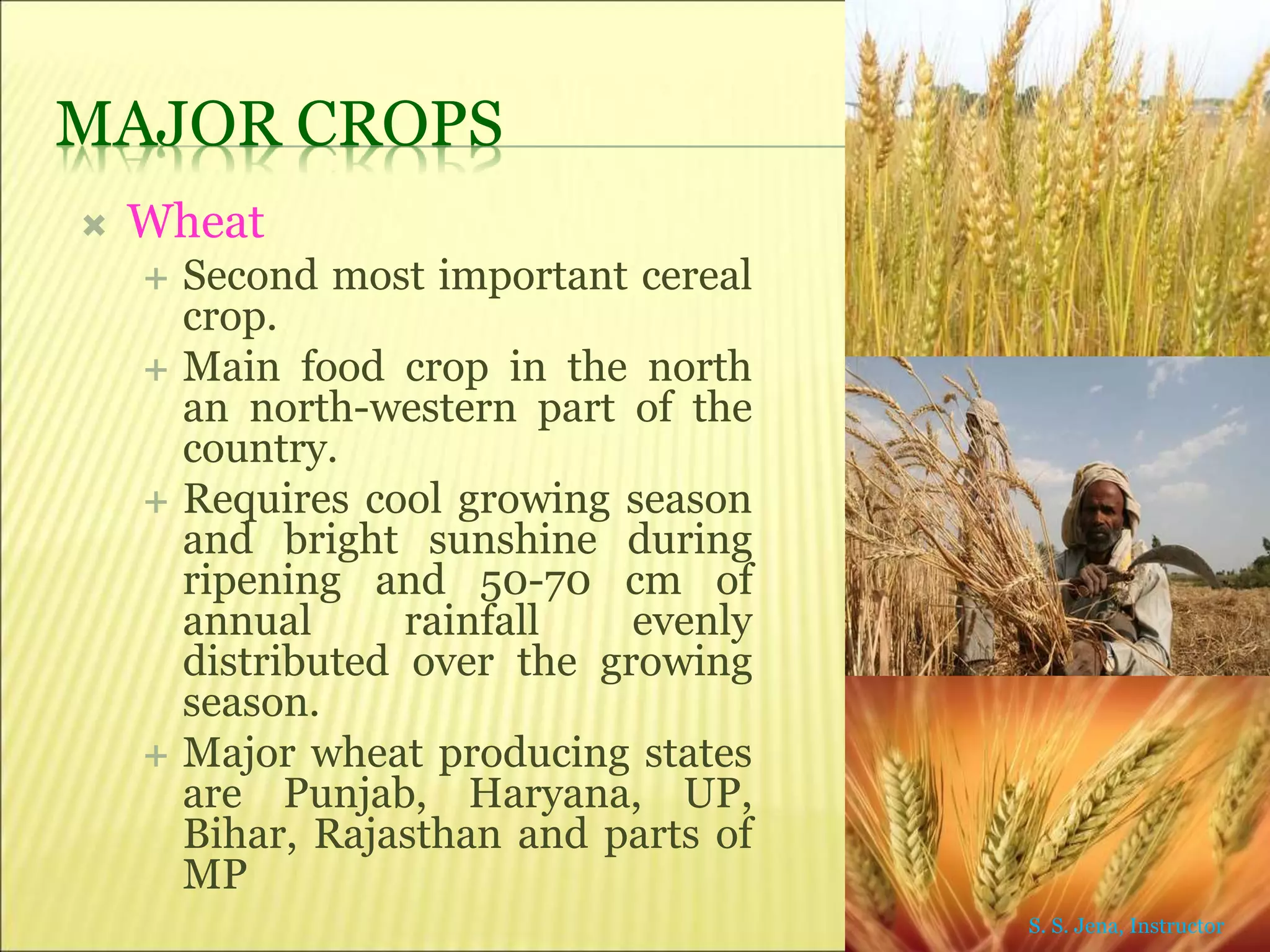 Introduction to Agriculture | PPT