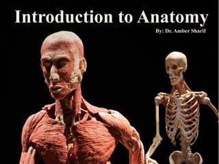Human Anatomy
Introduction
Introduction to Anatomy
By: Dr. Amber Sharif
 