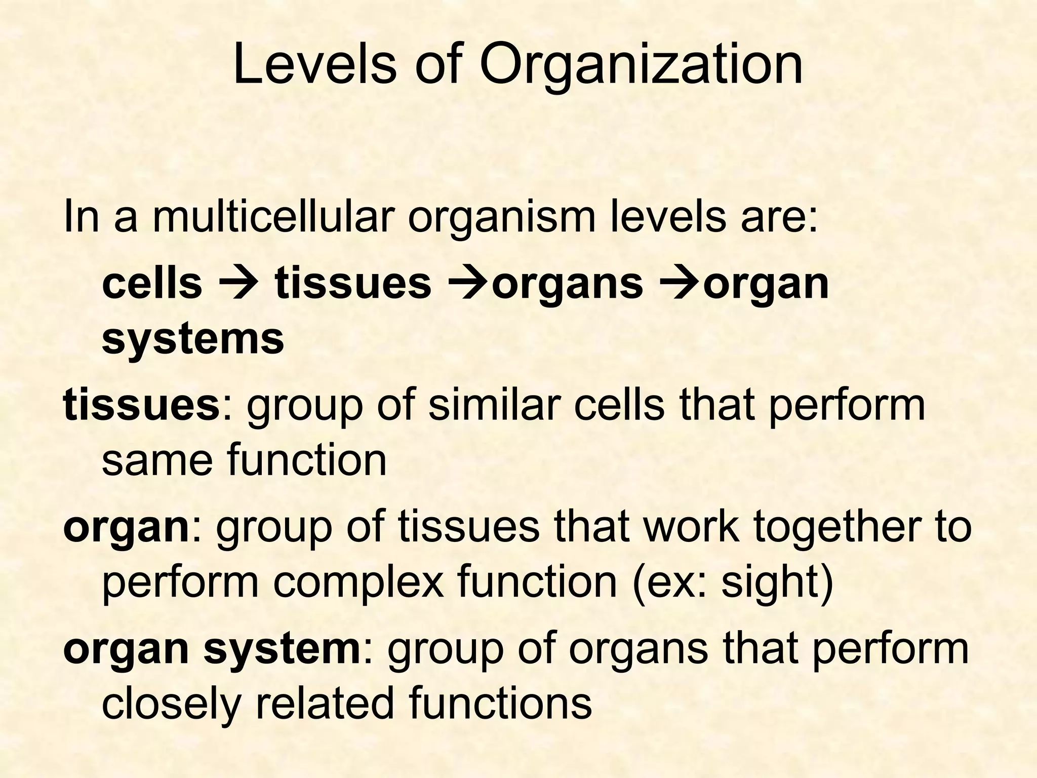 Levels of Organization
In a multicellular organism levels are:
cells  tissues organs organ
systems
tissues: group of similar cells that perform
same function
organ: group of tissues that work together to
perform complex function (ex: sight)
organ system: group of organs that perform
closely related functions
 