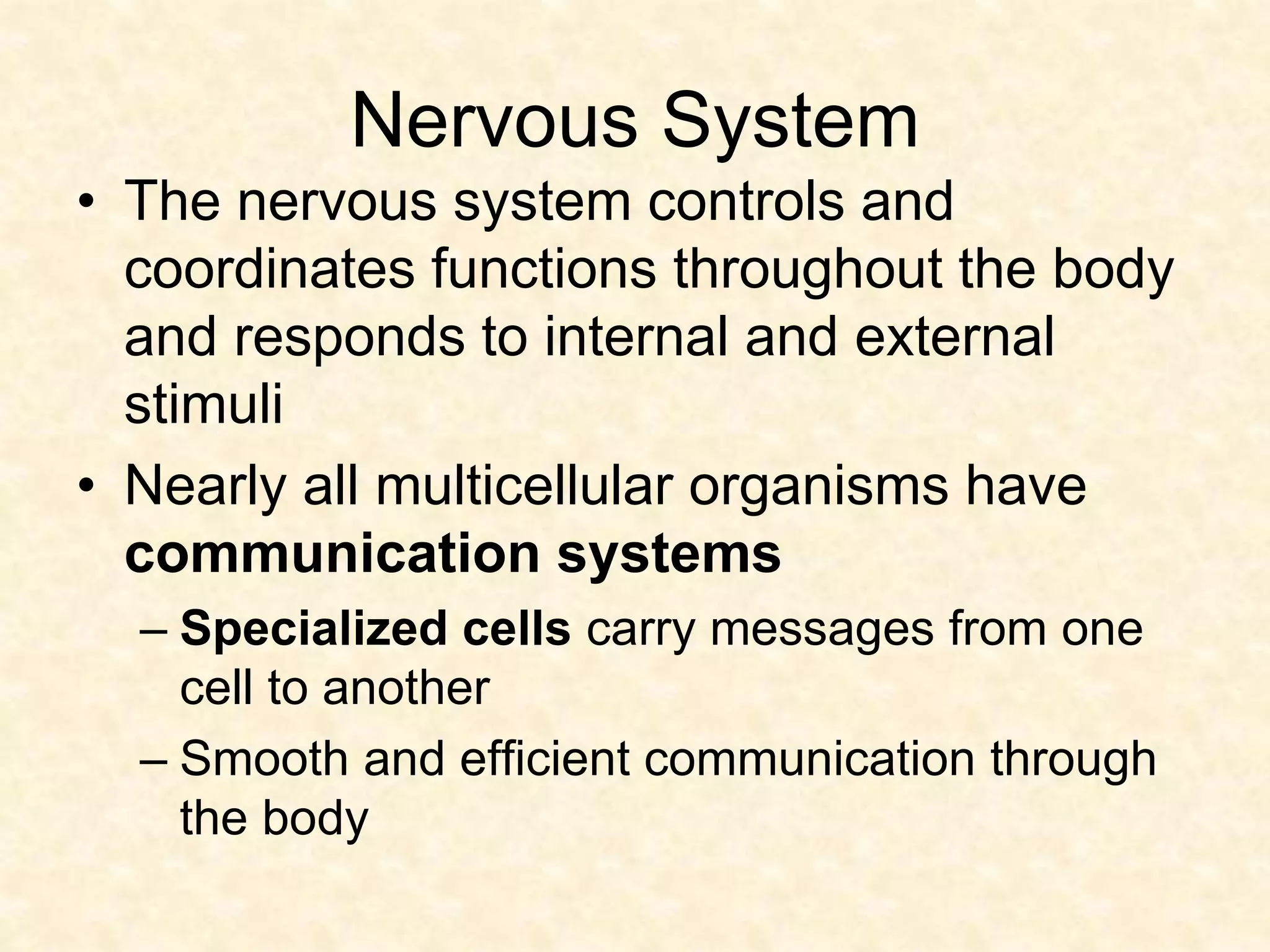 Nervous System
• The nervous system controls and
coordinates functions throughout the body
and responds to internal and external
stimuli
• Nearly all multicellular organisms have
communication systems
– Specialized cells carry messages from one
cell to another
– Smooth and efficient communication through
the body
 
