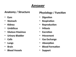 intro to anatomy POWERPOINT PRESENTATION | PPT