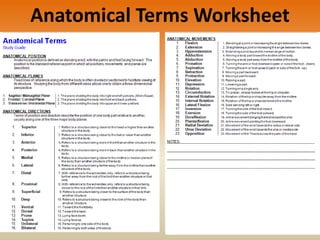 Anatomical Terms Worksheet
 