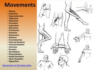 Movements
– Flexion
– Extension
– Hyperextension
– Adduction
– Abduction
– Prontaion
– Supination
– Retraction
– Protraction
– Elevation
– Depression
– Rotation
– Circumduction
– External Rotation
– Internal Rotation
– Inversion
– Eversion
– Dorsiflexion
– Plantarflexion
– Radial Deviation
– Ulnar Deviation
– Opposition
Movements of the body video
 