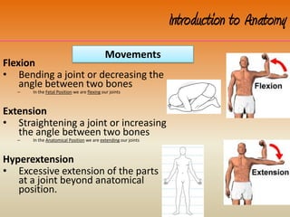 Flexion
• Bending a joint or decreasing the
angle between two bones
– In the Fetal Position we are flexing our joints
Extension
• Straightening a joint or increasing
the angle between two bones
– In the Anatomical Position we are extending our joints
Hyperextension
• Excessive extension of the parts
at a joint beyond anatomical
position.
Introduction to Anatomy
Movements
 