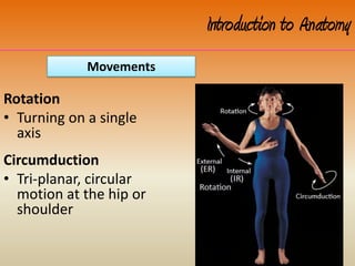 Rotation
• Turning on a single
axis
Circumduction
• Tri-planar, circular
motion at the hip or
shoulder
Movements
Introduction to Anatomy
 