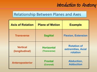 Introduction to Anatomy
Relationship Between Planes and Axes
Axis of Rotation Plane of Motion Example
Transverse Sagittal Flexion, Extension
Vertical
(longitudinal)
Horizontal
(Transverse)
Rotation of
extremities, Axial
rotation
Anteroposterior
Frontal
(Coronal)
Abduction,
Adduction
 