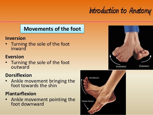 hip pain when rotating leg outward hip pain when rotating leg outward
