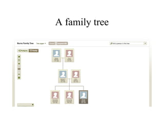 A family tree
 