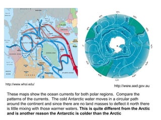 http://www.whoi.edu/
http://www.aad.gov.au
These maps show the ocean currents for both polar regions. Compare the
patterns of the currents. The cold Antarctic water moves in a circular path
around the continent and since there are no land masses to deflect it north there
is little mixing with those warmer waters. This is quite different from the Arctic
and is another reason the Antarctic is colder than the Arctic
 