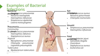 Introduction To Antibiotics Nursing Phar | PPT