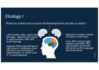 Etiology I
• Aphasia is mostly related
to lesion in left brain
• Over 95% normal right-
handers and 60%-70%
left-handers have their
left brain as the language
dominant brain
Left-handers after right brain
damage: aphasia less severe
vs right-handers after left
brain damage
Aphasia following damage to
right brain is relatively more
rare (but can be found in
right-handers, in which case
is crossed aphasia)
Note its onset and course of development (acute or slow)，
20240916lc
 