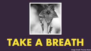 TWO CLASSES COMBINED INTO ONE
TAKE A BREATHImage Credit: Thomas Hawk
 