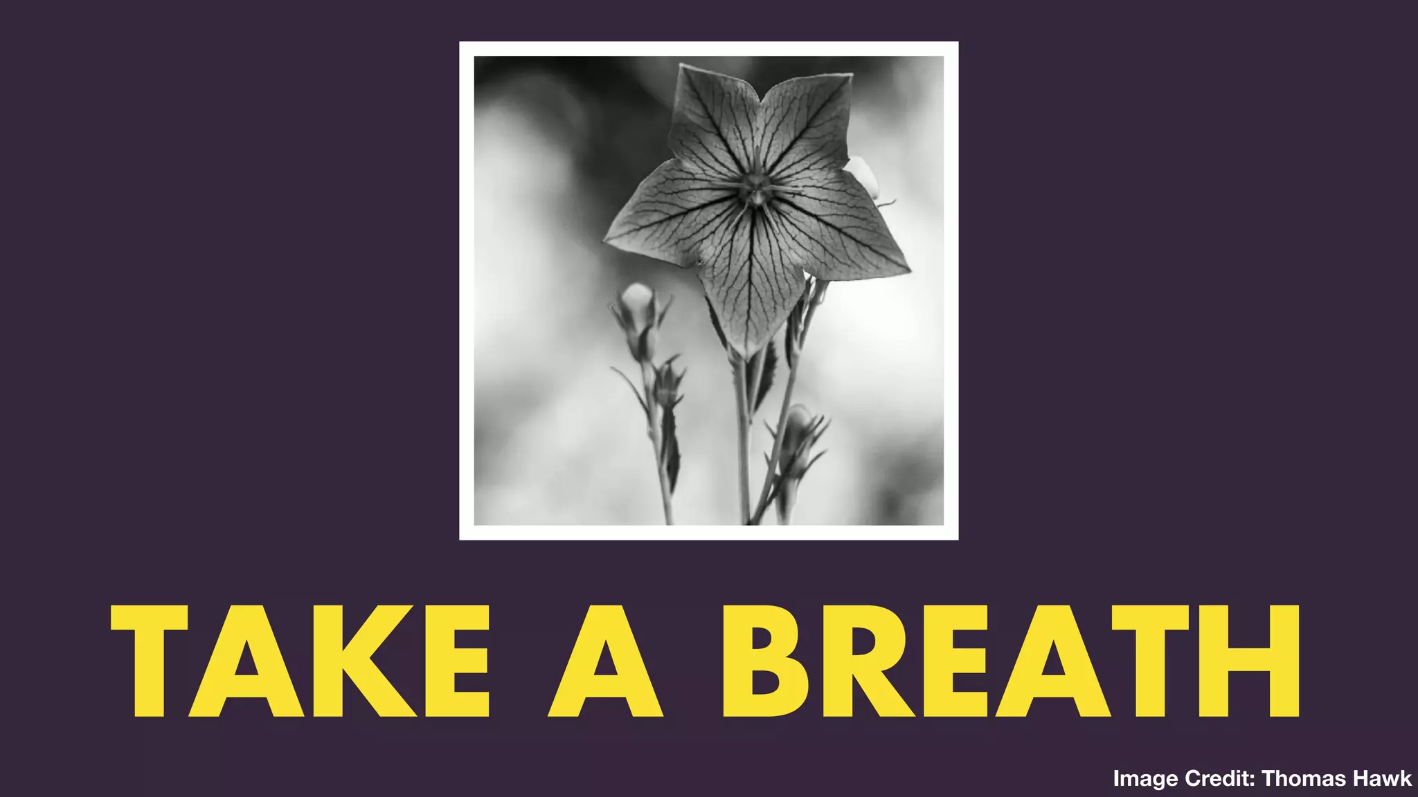 TWO CLASSES COMBINED INTO ONE
TAKE A BREATHImage Credit: Thomas Hawk
 