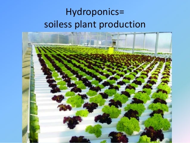 intro to aquaponics occ