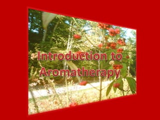 Intro to aromatherapy