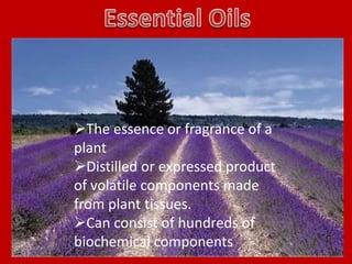 The essence or fragrance of a
plant
Distilled or expressed product
of volatile components made
from plant tissues.
Can consist of hundreds of
biochemical components
 