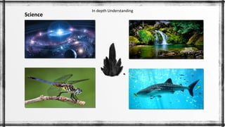 Science In Depth Intro to Art and Design | PDF