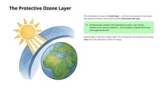 The Protective Ozone Layer
The stratosphere contains the ozone layer — a critical concentration of ozone gas
that absorbs and filters out the Sun's harmful Ultraviolet (UV) rays.
By filtering this radiation, the stratosphere protects crops, forests,
plankton, and marine ecosystems — the foundation of global food chains
and oxygen production.
Interestingly, as altitude increases within the stratosphere, the temperature actually
rises due to the absorption of this UV energy.
 
