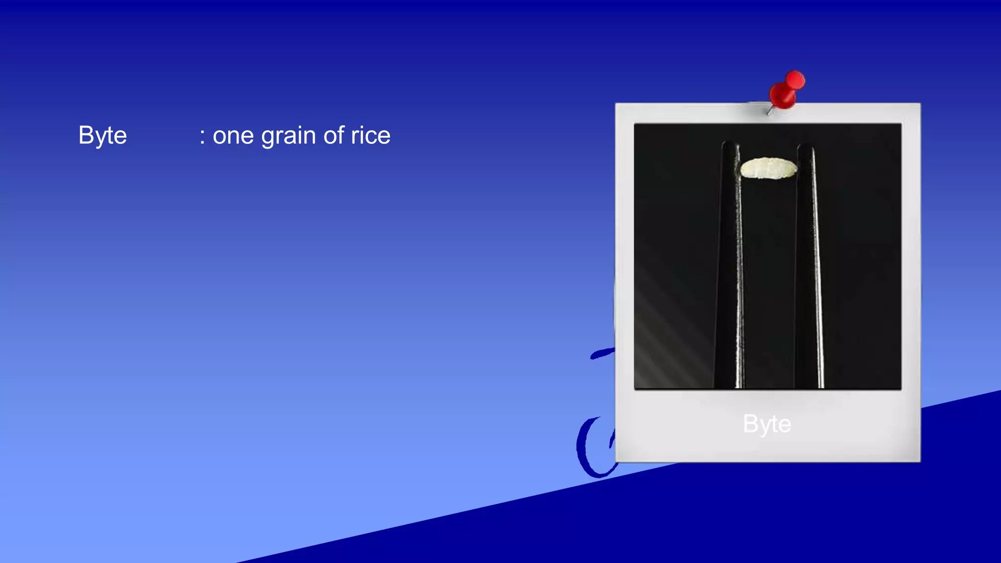 Byte
Byte : one grain of rice
 