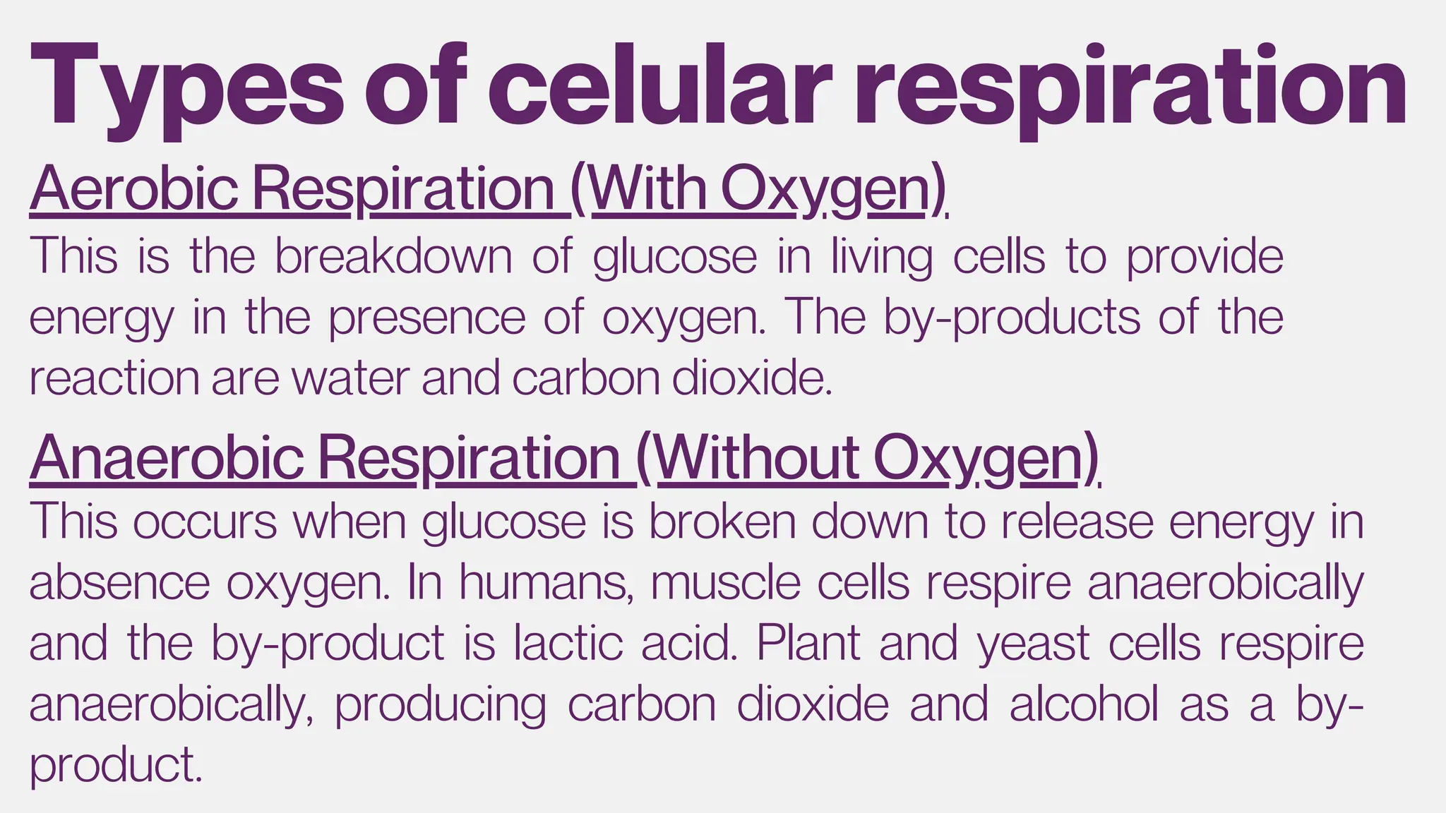 Types of celular respiration
Aerobic Respiration (With Oxygen)
This is the breakdown of glucose in living cells to provide
energy in the presence of oxygen. The by-products of the
reaction are water and carbon dioxide.
Anaerobic Respiration (Without Oxygen)
This occurs when glucose is broken down to release energy in
absence oxygen. In humans, muscle cells respire anaerobically
and the by-product is lactic acid. Plant and yeast cells respire
anaerobically, producing carbon dioxide and alcohol as a by-
product.
 