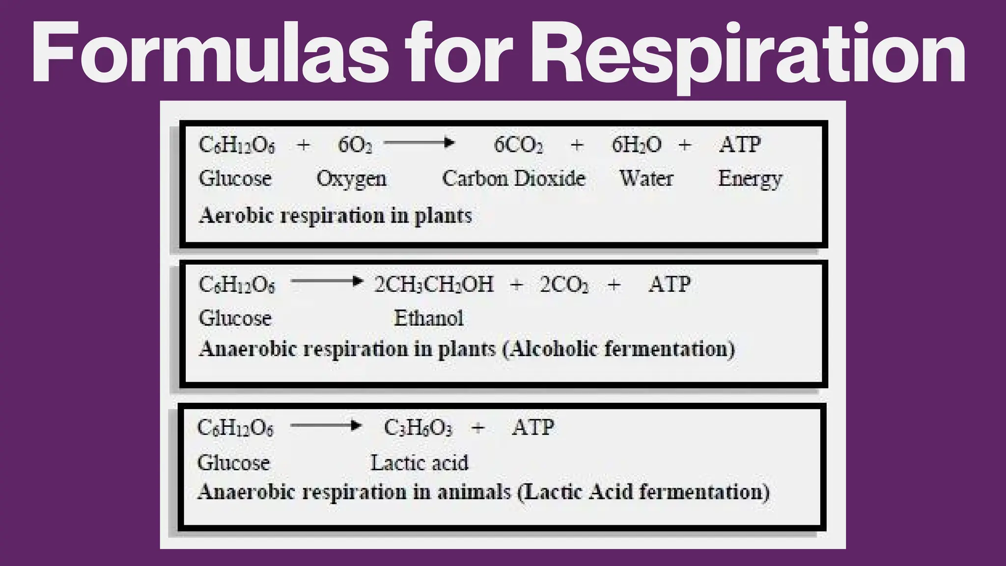 Formulas for Respiration
 