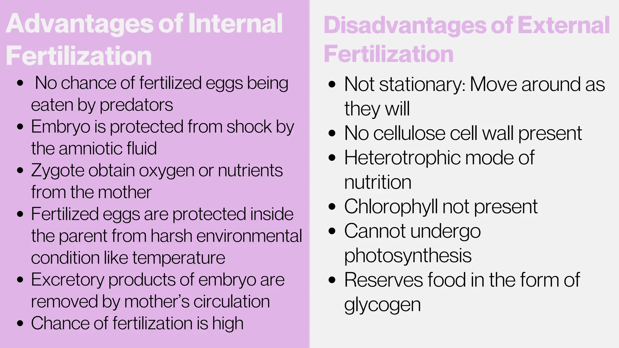 Advantages of Internal
Fertilization
Disadvantages of External
Fertilization
No chance of fertilized eggs being
eaten by predators
Embryo is protected from shock by
the amniotic fluid
Zygote obtain oxygen or nutrients
from the mother
Fertilized eggs are protected inside
the parent from harsh environmental
condition like temperature
Excretory products of embryo are
removed by mother’s circulation
Chance of fertilization is high
Not stationary: Move around as
they will
No cellulose cell wall present
Heterotrophic mode of
nutrition
Chlorophyll not present
Cannot undergo
photosynthesis
Reserves food in the form of
glycogen
 