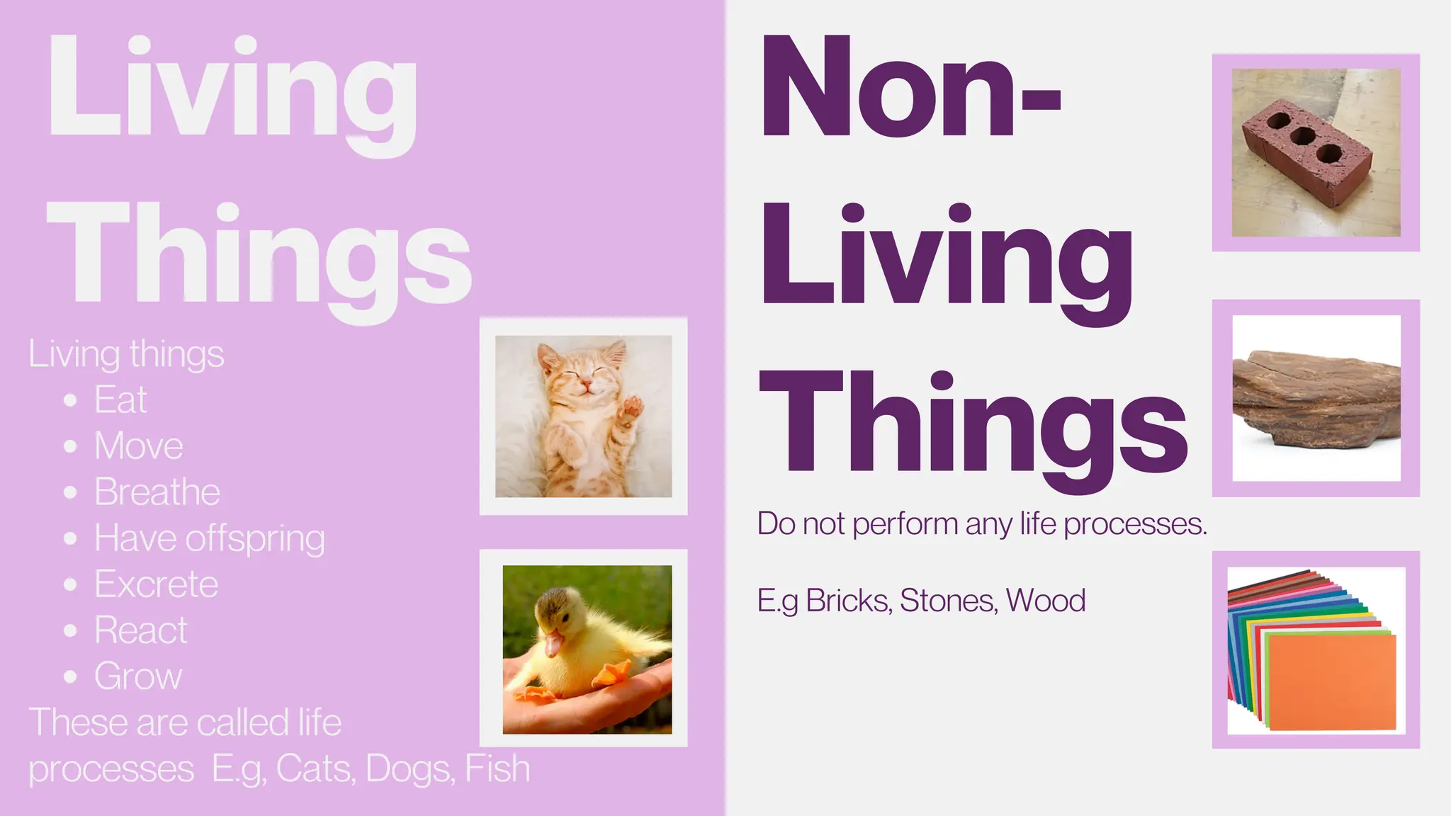 Living
Things
Living things
Eat
Move
Breathe
Have offspring
Excrete
React
Grow
These are called life
processes E.g, Cats, Dogs, Fish
Non-
Living
Things
Do not perform any life processes.
E.g Bricks, Stones, Wood
 