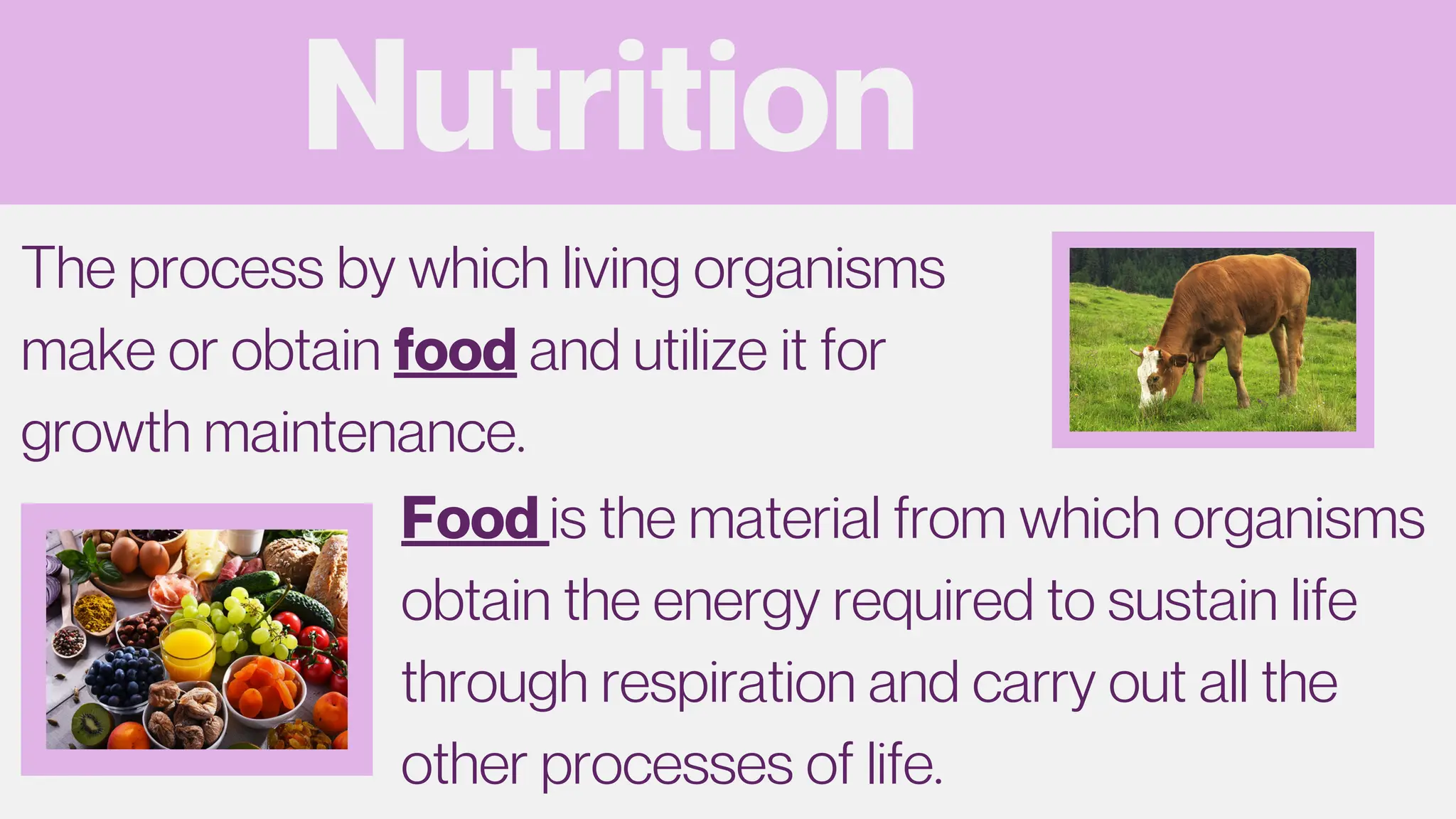 Nutrition
The process by which living organisms
make or obtain food and utilize it for
growth maintenance.
Food is the material from which organisms
obtain the energy required to sustain life
through respiration and carry out all the
other processes of life.
 