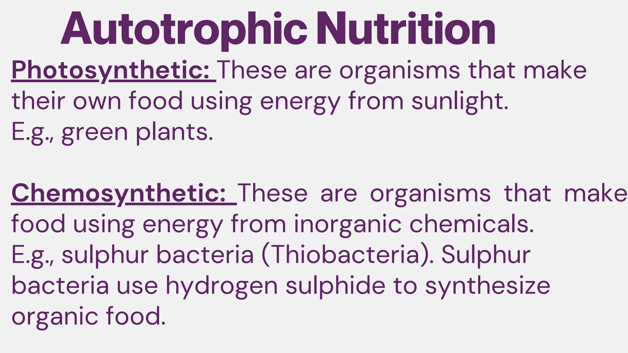 Photosynthetic: These are organisms that make
their own food using energy from sunlight.
E.g., green plants.
Chemosynthetic: These are organisms that make
food using energy from inorganic chemicals.
E.g., sulphur bacteria (Thiobacteria). Sulphur
bacteria use hydrogen sulphide to synthesize
organic food.
Autotrophic Nutrition
 