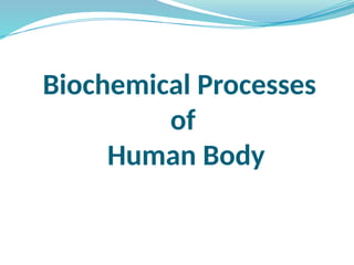 Biochemical Processes
of
Human Body
 