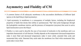 Asymmetry and Fluidity of CM
• A common feature of all eukaryotic membranes is the non-random distribution of different lipid
species in the lipid bilayer (lipid asymmetry).
• Lipid asymmetry in membranes is a consequence of multiple factors, including the biophysical
properties of lipids that dictate their ability to spontaneously “flip” their polar headgroups through
the hydrophobic membrane interior, and the presence of transporters (enzymes) that assist in active
lipid translocation across the bilayer
• Fluidity is a term used to describe the ease of movement of molecules in the membrane and is an
important characteristic of cell function. Fluidity depends on the temperature (increased temperatures
make it more fluid and decreased temperatures make it more solid), saturated fatty acids and
unsaturated fatty acids. Saturated fatty acids make the membrane less fluid while unsaturated fatty
acids make it more fluid.
 
