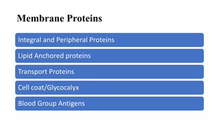 Membrane Proteins
Integral and Peripheral Proteins
Lipid Anchored proteins
Transport Proteins
Cell coat/Glycocalyx
Blood Group Antigens
 