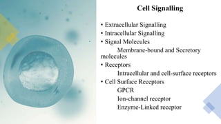 Cell Signalling
• Extracellular Signalling
• Intracellular Signalling
• Signal Molecules
Membrane-bound and Secretory
molecules
• Receptors
Intracellular and cell-surface receptors
• Cell Surface Receptors
GPCR
Ion-channel receptor
Enzyme-Linked receptor
 